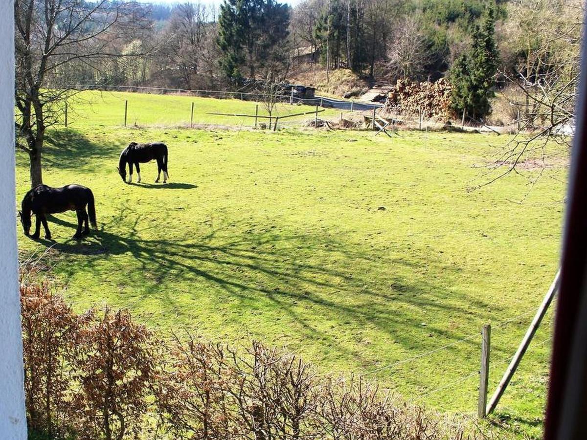 Ferienwohnung Peitz Eslohe Eksteriør bilde